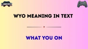 wyo meaning in text