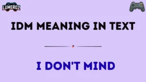 idm meaning in text