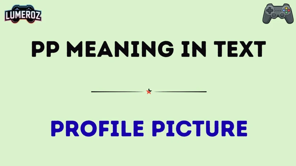 pp meaning in text