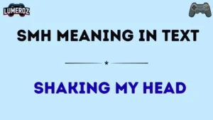 smh meaning in text