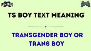 ts boy text meaning