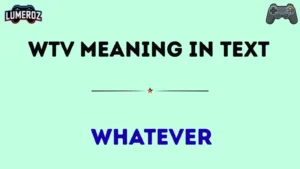 wtv meaning in text