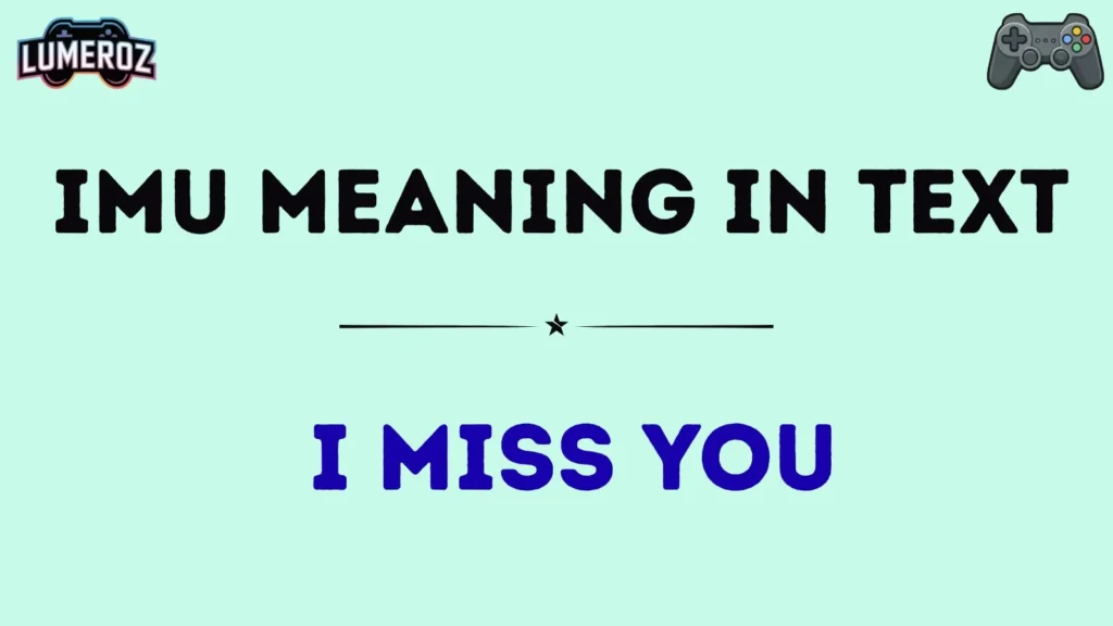 imu meaning in text