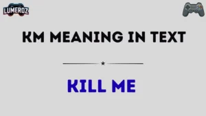 km meaning in text