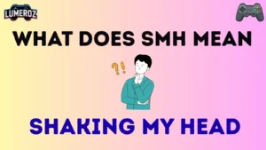 what does smh mean
